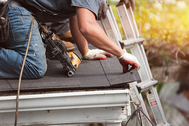 Best Roof Gutter Cleaning  in Churubusco, IN